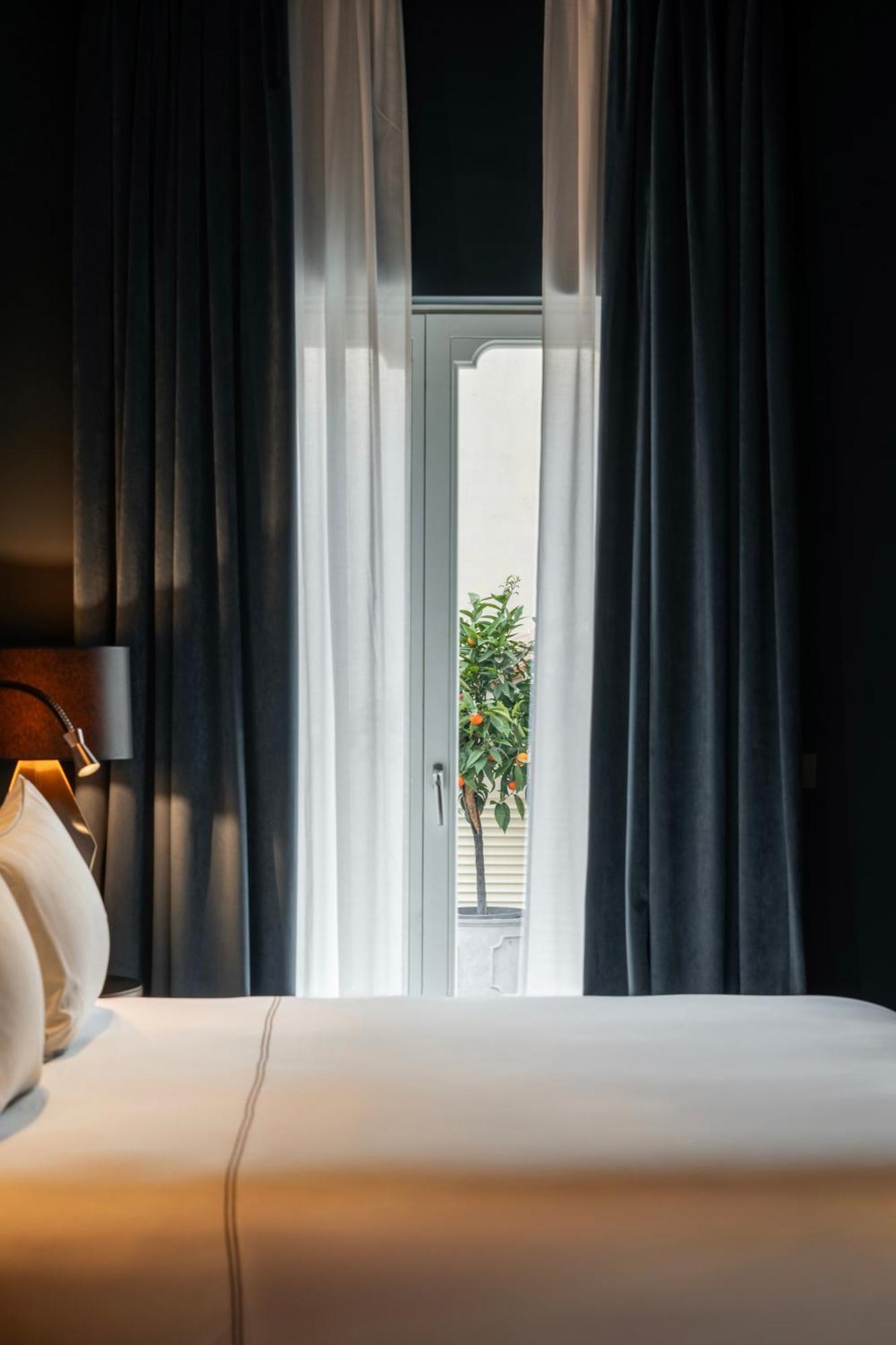 Suite Deluxe