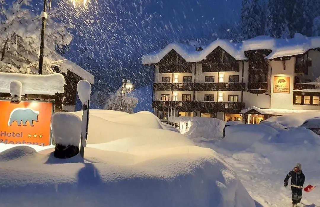 Hotel Montana-1