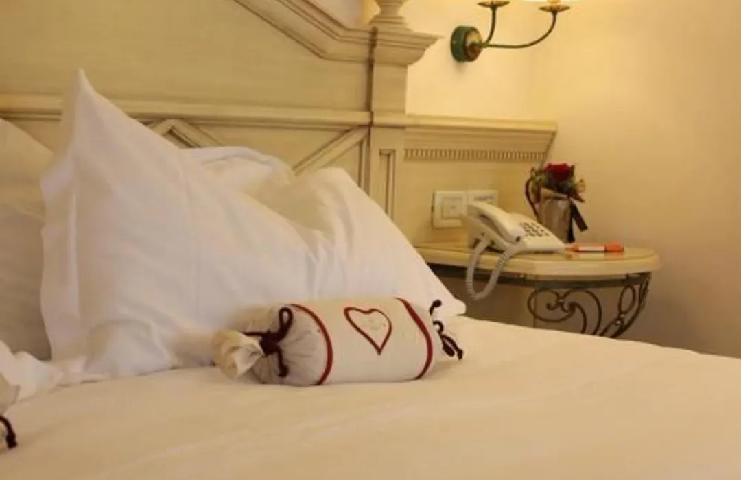 Alpen Suite Hotel-1