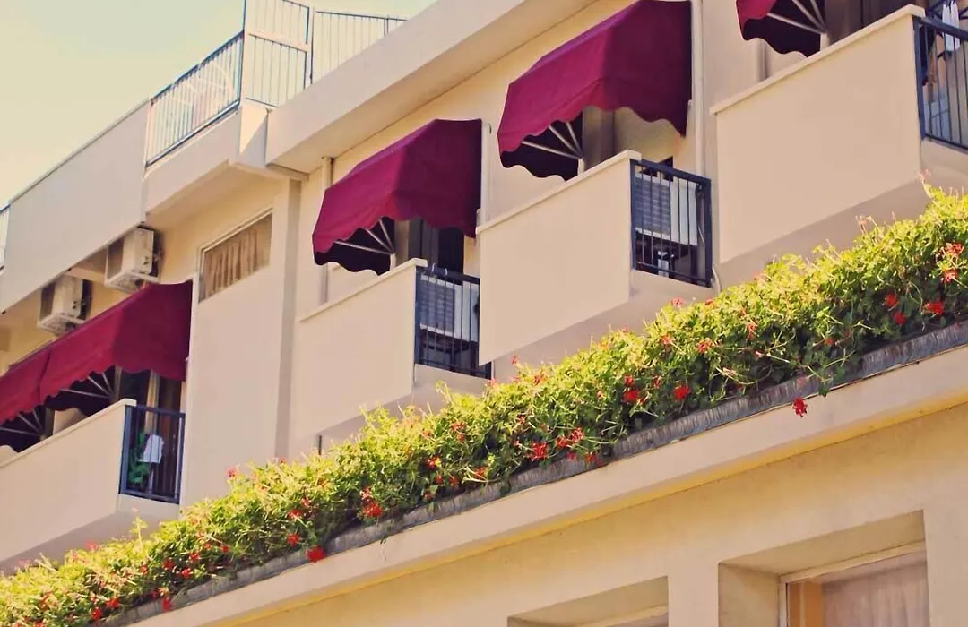 Hotel New Primula-1