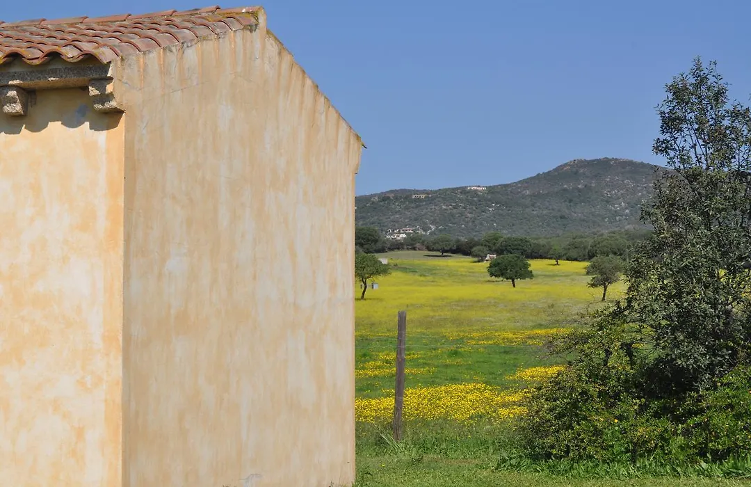B&B Pubulos-1