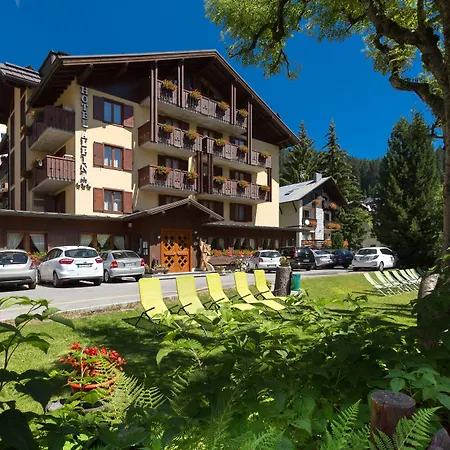 Hotel Alpina-2