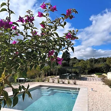 Villa Ada-Trulli&Luxury Accomodation-2