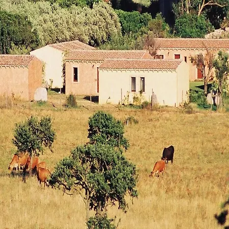 B&B Pubulos-3