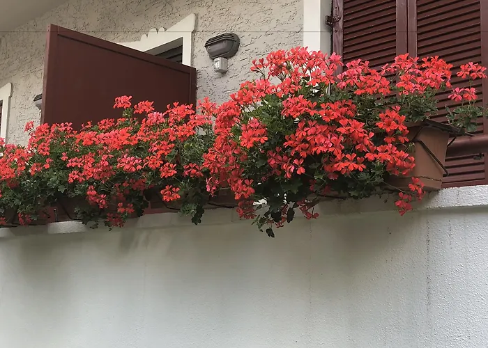 Hotel con SpaGarni Villa Betty