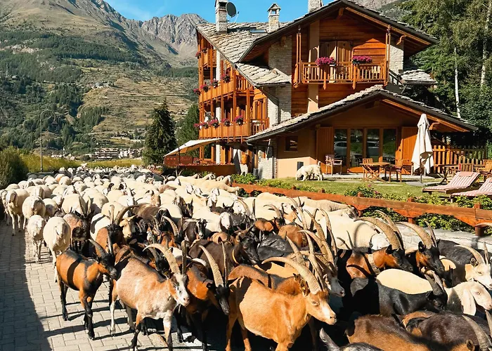 Hotel Le Bouquet - Adults Only Cogne
